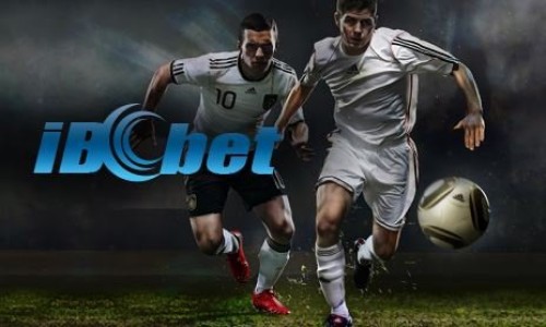 ibcbet link alternatif