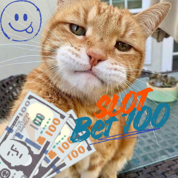 Slot Bet 100 dengan Peluang Menang Besar untuk Pemula